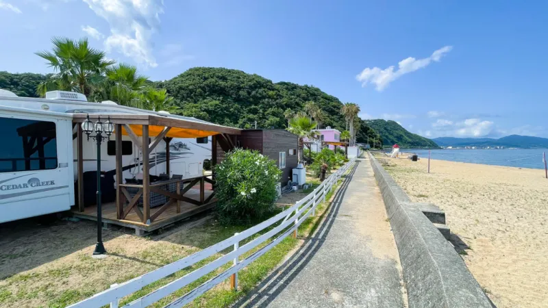 シーアイガ海月の画像③